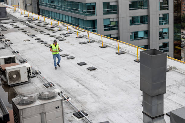Best Roof Coating Services  in Petersburg, MI