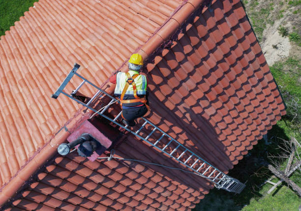 Best Roof Replacement  in Petersburg, MI