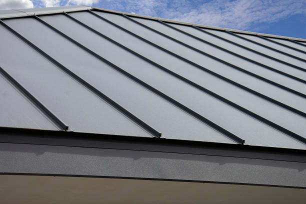 Best Storm Damage Roof Repair  in Petersburg, MI